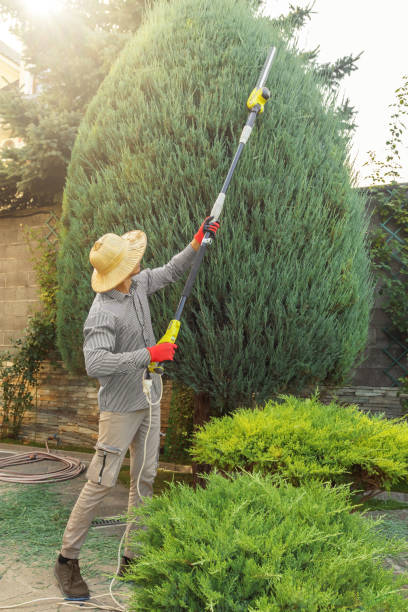 Best Hedge Trimming  in Bagdad, FL